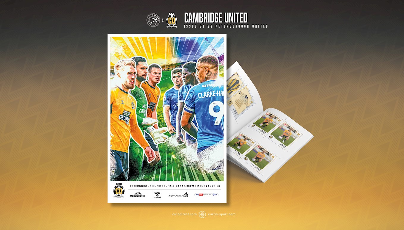 posh prog landscape.jpg